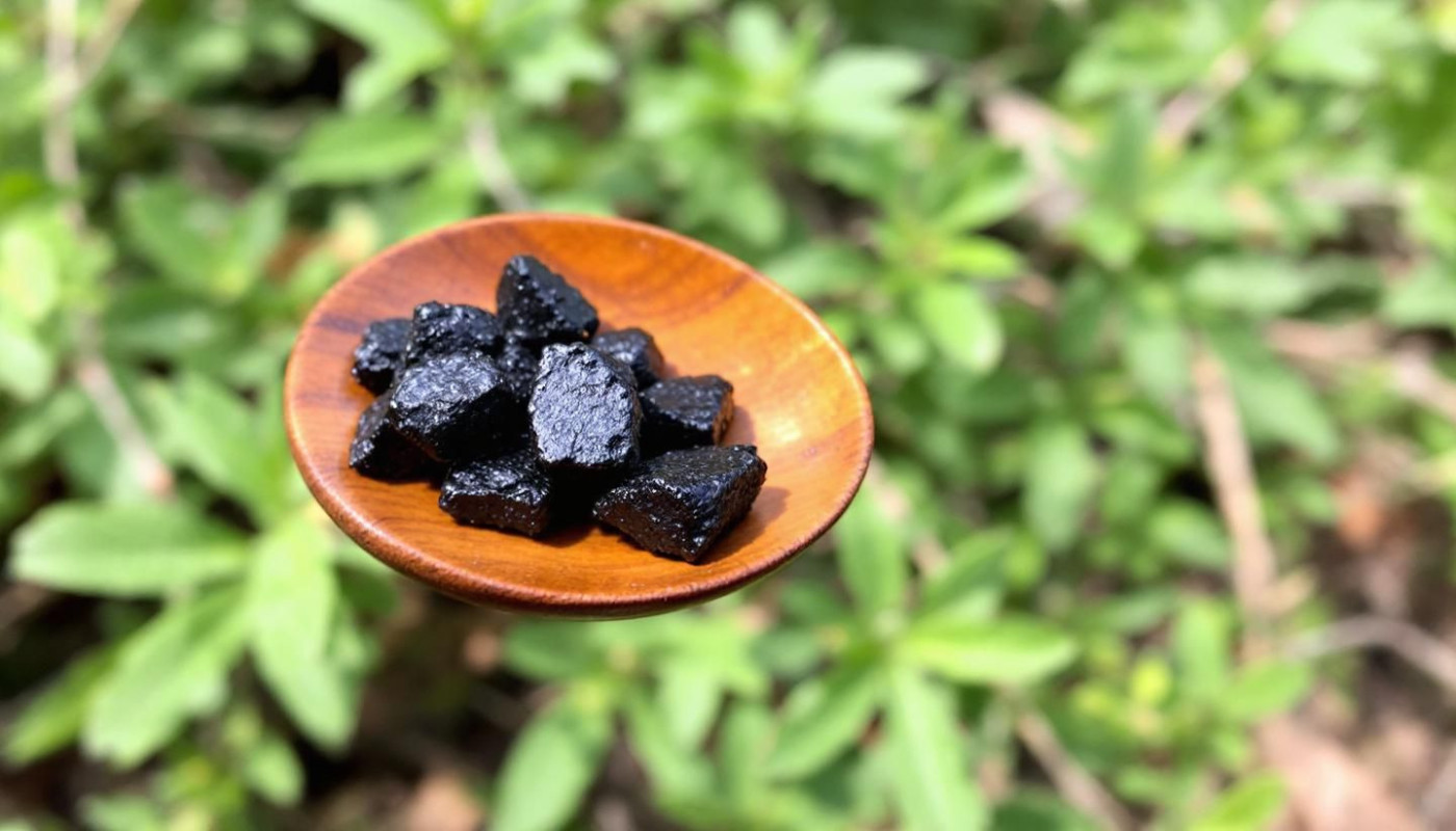 Exploration des méthodes traditionnelles et modernes de consommation du Shilajit